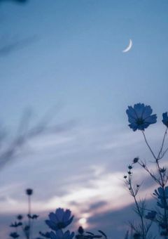 また 、 君と逢えたなら 。