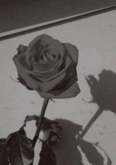 DOPE 麻薬取締部特捜課