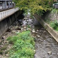 夜冥美海🌌🪼さんのアイコン画像