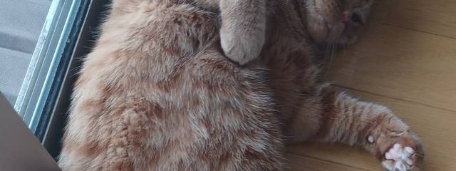 s.Kさんの壁紙画像