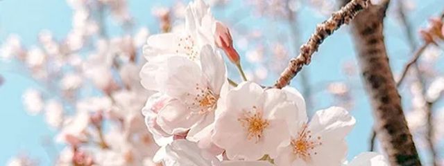 りな🩵さんの壁紙画像