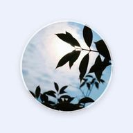 ぺいぺいさんのアイコン画像