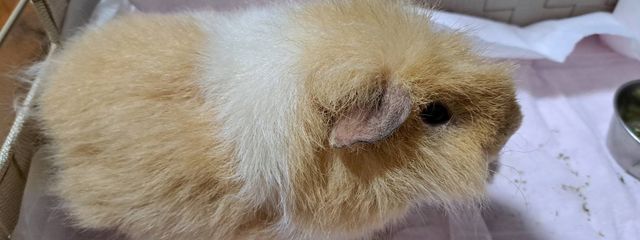 菜奈さんの壁紙画像