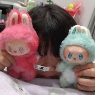 藍華さんのアイコン画像