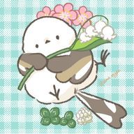 ペッペコ@受験勉強ムズい( ･ὢ･ )さんのアイコン画像