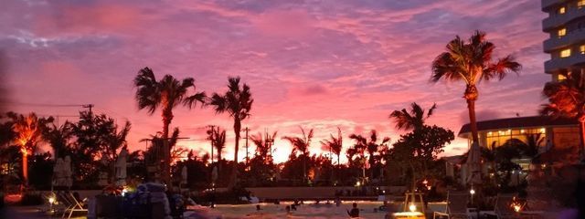 アックさんの壁紙画像