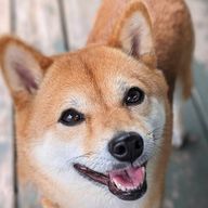 ロゼリアさんのアイコン画像