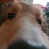 yukki-@ロストお姉ちゃん優しい!@1週間ルーレット影響さんのアイコン画像