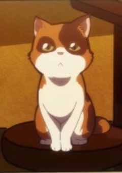 飼い猫(？)が帰ってこないので探偵社に依頼します。