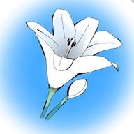 なのさんのアイコン画像