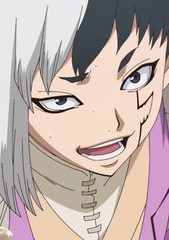 科 学 王 国 の 不 良 少 女