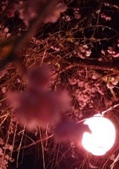 愛は正しい形をしていない（R18）