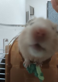🍀︎ 貴 方 の 部 屋 🍀︎