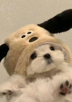 ゆりたんせんよーっ!🥹︎🫶🏻💓