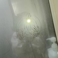 Hisui . さんのアイコン画像