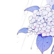 ichi5_oreさんのアイコン画像
