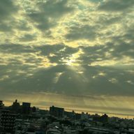 𝕨𝕒𝕜𝕒𝕟𝕒𓆉さんのアイコン画像