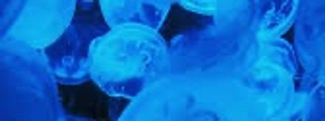 氷彗･:*さんの壁紙画像