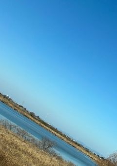 らいり参加型設定