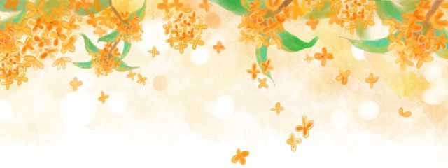 かれんさんの壁紙画像