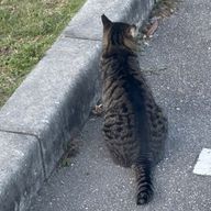きゃらめるさんのアイコン画像