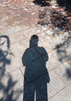 僕の実写のお部屋