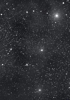 星の道の漆黒【Stella Viaリーダー月闇李雨】