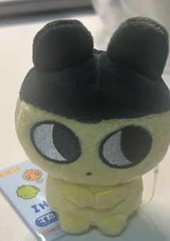 今日好きになりました