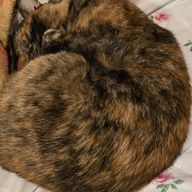 ふぁさんのアイコン画像