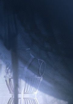 ✴︎”堕ち枯れた花”