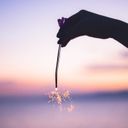 𝓛𝓪𝓷𝓪☁︎︎*