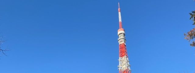 冷真凜🧊さんの壁紙画像