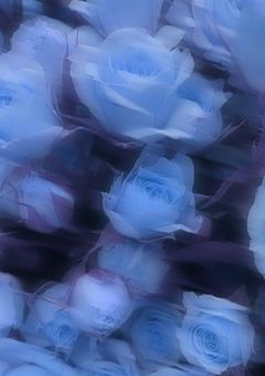 𝑶𝒏𝒆 𝑳𝒐𝒗𝒆　︴ 🤍𖤐⸒⸒