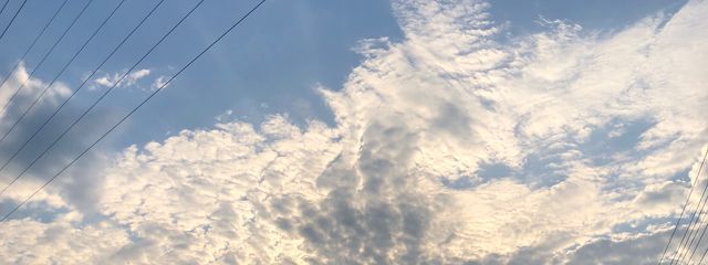 mile＠全力投休さんの壁紙画像