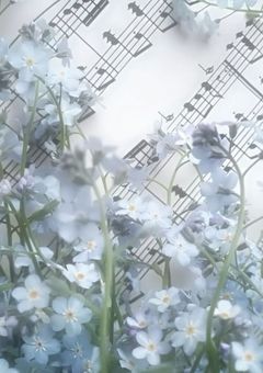 　短編　　.　　sn