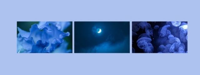 　　𝚈𝚄𝚁𝙸　　さんの壁紙画像