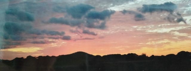 みみふわさんの壁紙画像