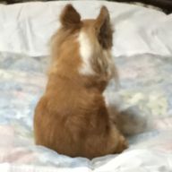 はなさんのアイコン画像