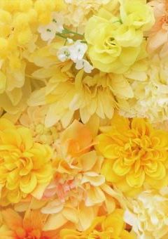 ちとちゃん専用！