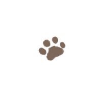 りう🐾さんのアイコン画像
