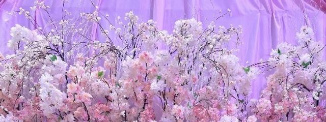みきさんの壁紙画像