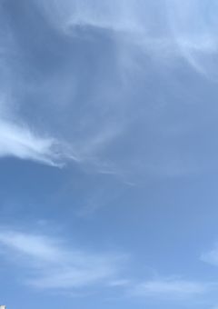 micr脱獄イラスト集 .