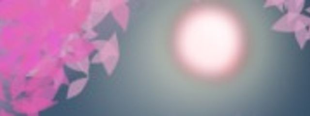 四季想　桜咲　# エスカルゴ以上のインパクトある言葉が欲しいさんの壁紙画像