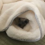 Nan.0224さんのアイコン画像