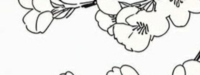 だりあ｡さんの壁紙画像