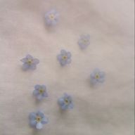 　雪華さんのアイコン画像