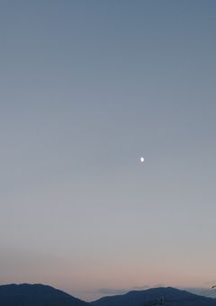 ネット関係者さん募集!!