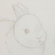 月見だんごさんのアイコン画像