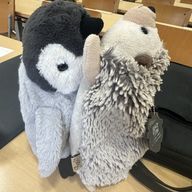 ソニカさんのアイコン画像