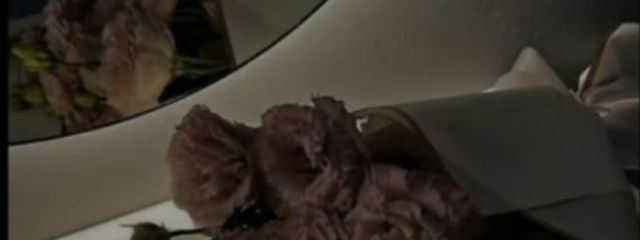 yoaさんの壁紙画像